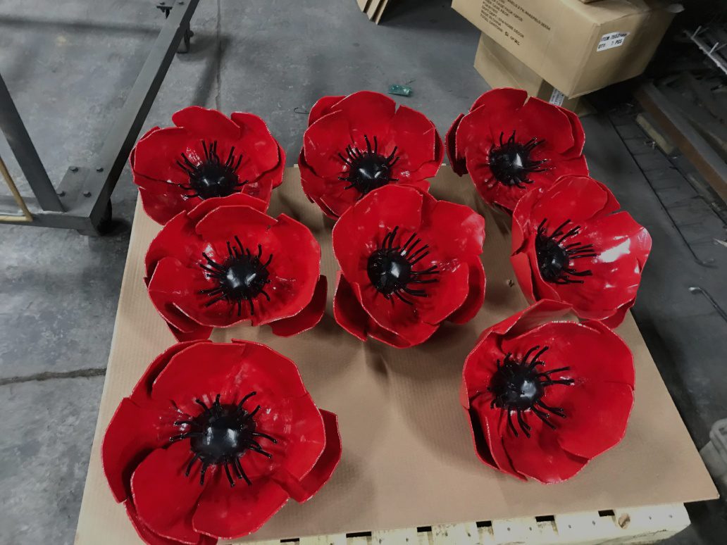 A bunch of red flowers sitting on top of cardboard.